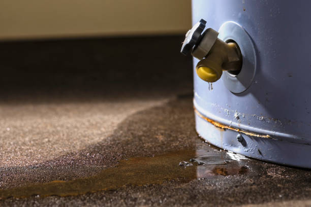 Best Professional water damage repair  in Plainfield, IL