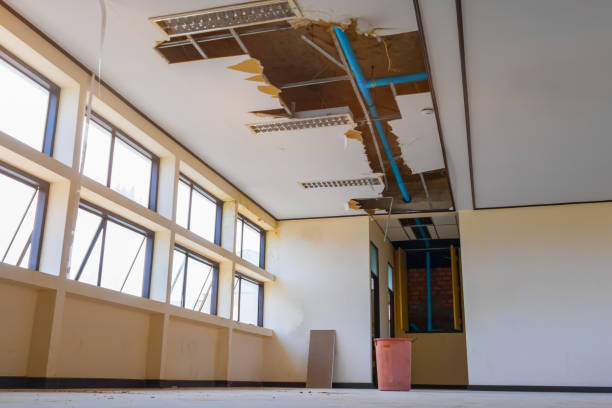 Best Residential water damage restoration  in Plainfield, IL