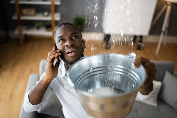 Best Water damage cleanup near me  in Plainfield, IL