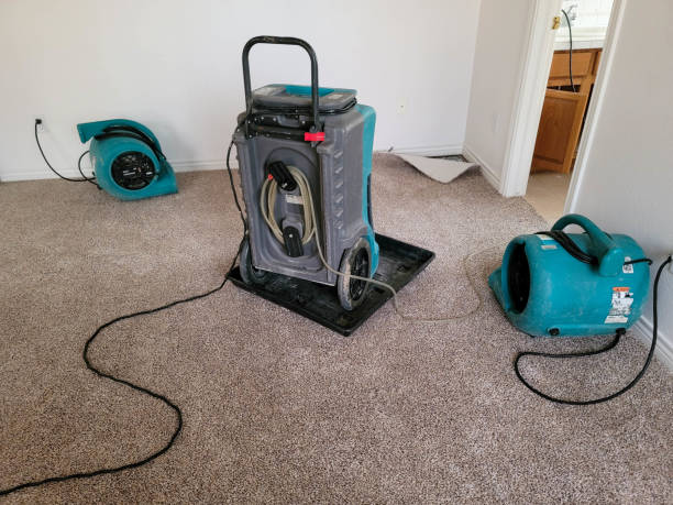 24/7 water damage repair in IL