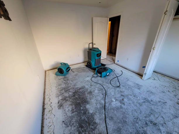 Best Water damage contractors near me  in Plainfield, IL
