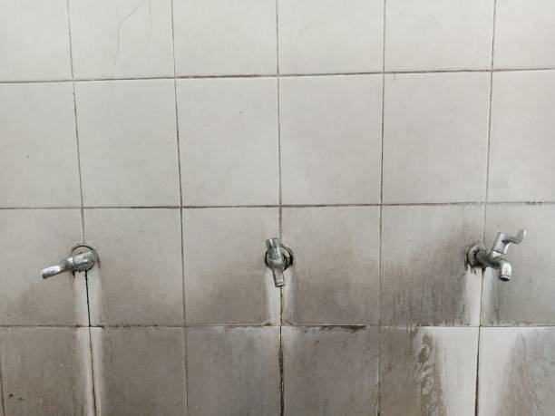 Best Ceiling water damage repair  in Plainfield, IL