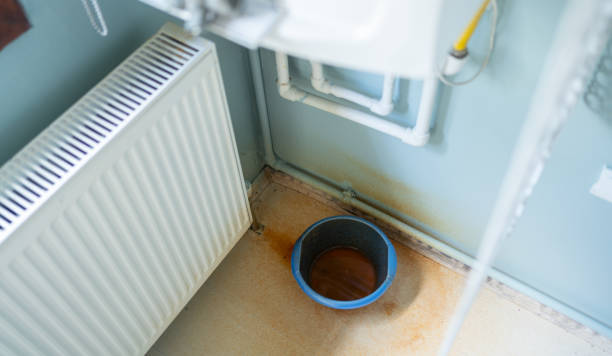 Best Local water damage restoration  in Plainfield, IL