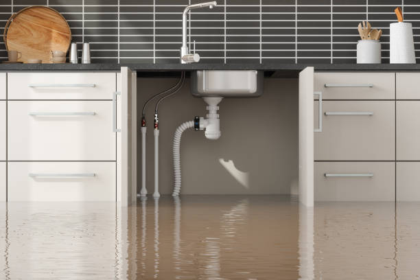 Best Flood restoration services  in Plainfield, IL