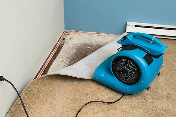 Best Emergency water damage restoration  in Plainfield, IL